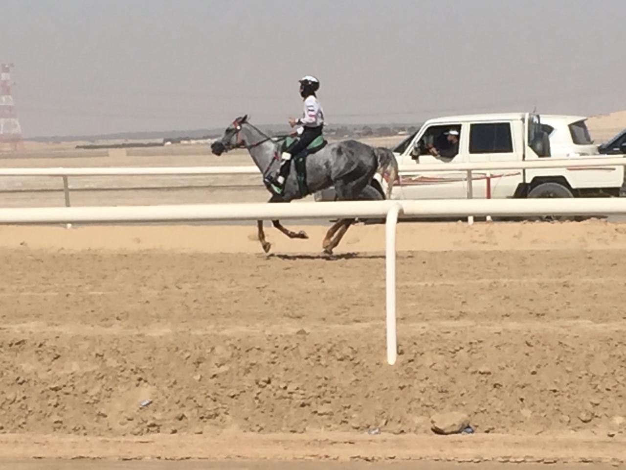 RO Malaquita 2° en CEN 120 KM Sh Zayed bin Mansoor bin Zayed al Nahyan Junior & Young Riders