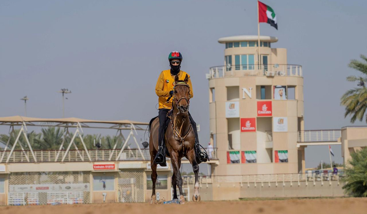 RO ULYSES terminó séptimo en el CEN 119 KM Dubai Crown Prince Endurance Ride para Pvt. Establos
